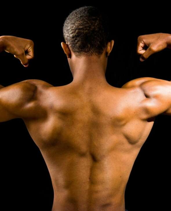 Terapi Otot Online & Offline Bersama Halobib