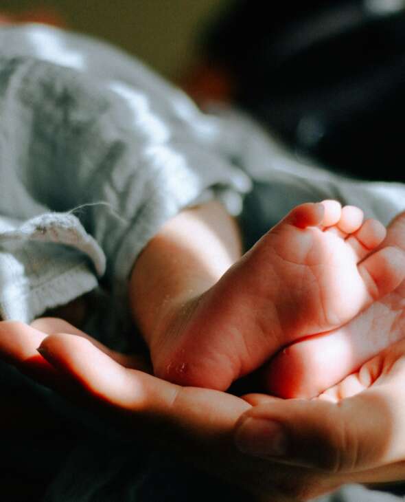 Layanan Pijat Bayi Online & Offline oleh Halobib