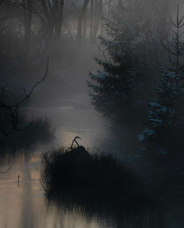 Terapi Ruqyah Online Halobib